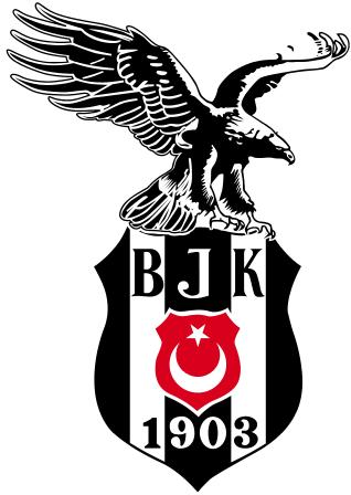 BEŞİKTAŞ FUTBOL YATIRIMLARI SANAYİ VE TİCARET A.Ş. 01 Haziran 31