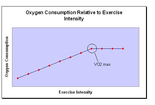 VO 2 (maksimal O 2 tüketimi) * Aerobik egzersiz kapasitesinin en önemli göstergesi * İş yükü ile orantılı olarak x15 3.