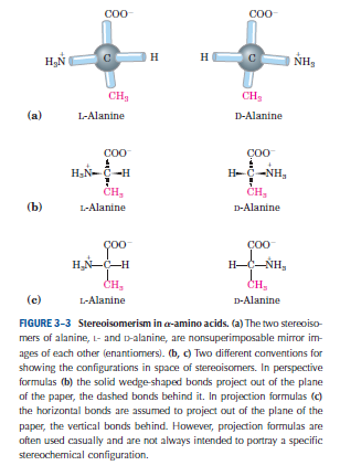 Molekülün konformasyonunda büyük grubun, aktif grubun nerede yer aldığını anlamak mümkün olur (Şekil 3.3).