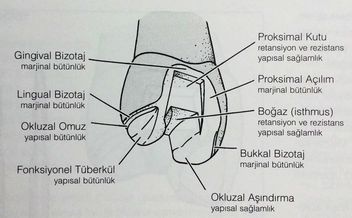 5 Şekil 2.1.