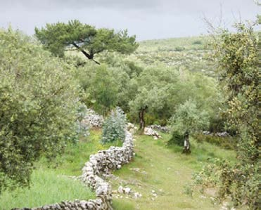 Bu bölüm korumda organik tarımın faydaları ve organik tarımda yaşam alanları ve türlerin korunma yolları ile ilgilidir. Fig. 1.