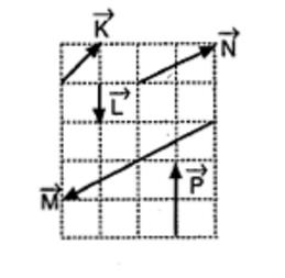 Y X Y T/2 X/2 -T? SORU 1: CEVAP : 1 VE 2 EŞİTTİR. Aynı düzlemdeki K,L,M,N ve P vektörleri şekildeki gibidir.