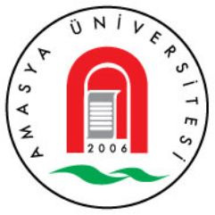 Amasya Üniversitesi Eğitim Fakültesi Dergisi 4(2), 293-311, 2015 http://dergi.amasya.edu.