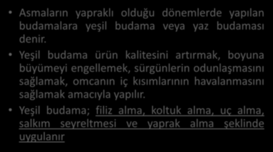 Yaz Budaması Asmaların yapraklı olduğu dönemlerde yapılan budamalara yeşil budama veya yaz budaması denir.