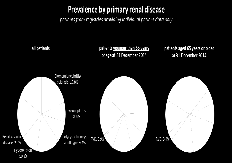 Prevalent patients on RRT in 2014 by