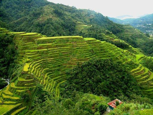 9. Banaue Pirinç Terasları Filipinler Ifugao Dağı yamaçlarına insan eliyle şekil verilerek meydana getirilmiş bu terslar, binlerce metrelik