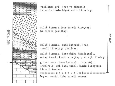 İZMİR-ANKARA KUŞAĞININ GEÇ TRİYAS UYUMSUZLUĞU Ultramafik birim Ultramafik kayalar aşırı serpantinleşmiş dünit ve harzburjit tektonitlerdir.