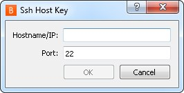 Sunucunun kullandığı ana bilgisayar adı veya IP adresi ile bağlantı noktasını girerek bir SSH sunucu anahtarı ekleyebilirsiniz.