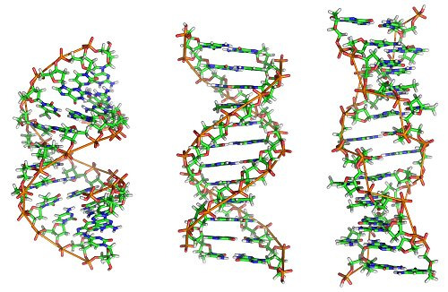 Alternatif DNA yapıları: A-DNA, B-DNA ve Z-DNA 11 DNA/RNA Sekansı Örnek: 5