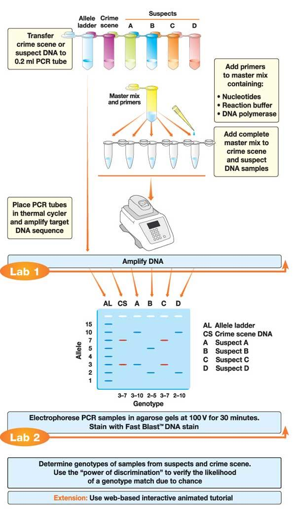 https://biotechmind.