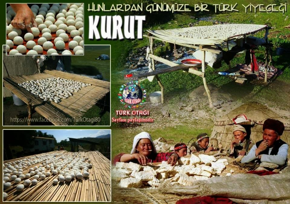 Fermente süt ürünlerinin tarihsel gelişimine ait en eski kaynaklar, yoğurdun ilk defa Türkler tarafından yapıldığını desteklemektedir. Bazı kaynaklara göre yoğurt ilk defa 8.