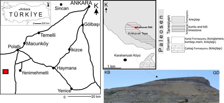 3.1.5 Kırkkavak Tepe Ölçülü Stratigrafik Kesit Çalışma alanı içersinde Ankara nın güneybatısında, Polatlı nın 13 km güneyinde biyostratigrafik zon oluşturabilecek bentik foraminiferlerli, bol algli