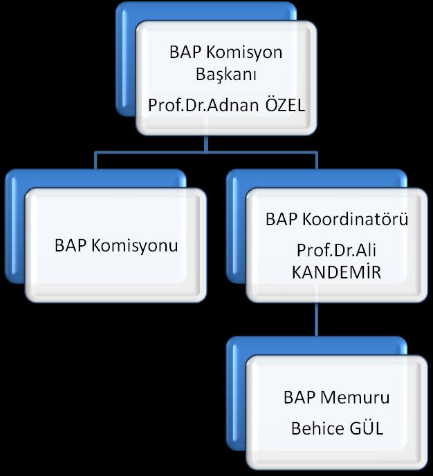 j. Gerekli gördüğü hallerde proje çalışmalarını yerinde inceleyebilir, proje yürütücülerini değiştirebilir, projeyi yürürlükten kaldırabilir, k.