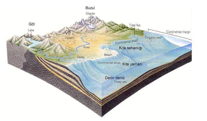Tortul kayaçların oluşum aşamaları şöyle sıralanabilir: 1. Ayrışma, parçalanma: Dış güçlerin etkisi sonucunda kayaçların fiziksel, mekanik ve kimyasal yollarla gerçekleşir, 2.
