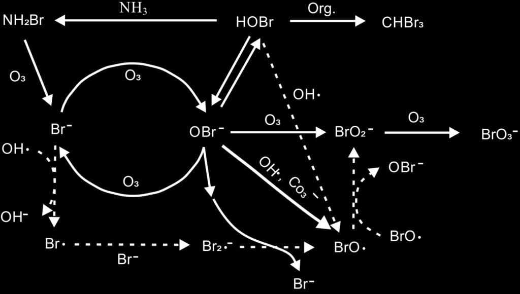 22 Bromür iyonu ihtiva eden suların ozonlanması sonucu istenmeyen yan ürün olan bromat iyonu oluşur ve bu bromat iyonunun oluşumunun takip edilmesi ve engellenmesi gerekmektedir (Kayaoğlu, 2003;
