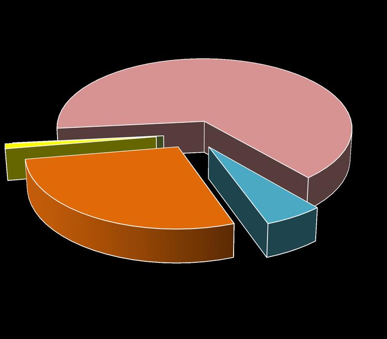 Tertip KBÖ Toplam Ödenek Harcama Gerç. Oranı (%) 06.1 Mamul Mal Alımları 4.700.000 7.390.000 5.675.908 77 06.