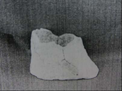 10 3.1.1. Buluntu tabakası İkiztepe de, II. katın, 4.evresinde, İlk Tunç Çağı I e ait pişmiş topraktan zoomorfik ya da antropomorfik bir kaba ait ayak parçası bulunmuştur. 3.1.2. Riton tanımı Resim 3.