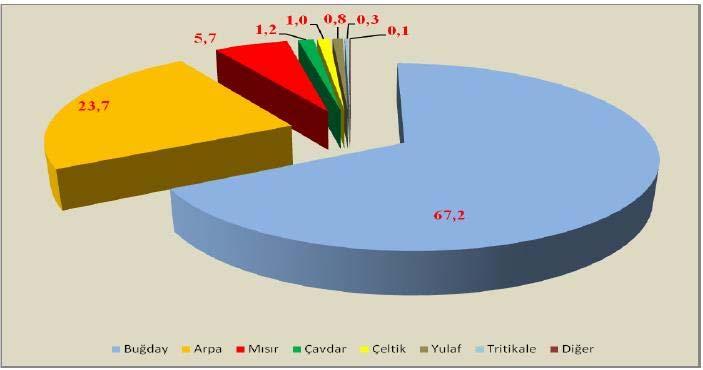 Türkiye`de Hububat Alanları Son 14 yıla bakıldığında buğday ekim alanlarının 7,5 9,4 milyon hektar arasında; üretim miktarının ise 17,2 22,1 milyon ton arasında değiştiği görülmektedir.