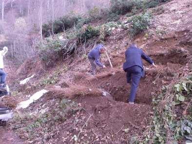 Fidanlar, sökülmelerinden hemen sonra dikilmeyecekse gömüye alınırlar.