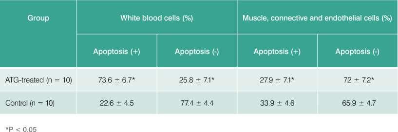Apoptoz ile T hücre deplesyonu ATG lökositlerdeki apoptozu artırırken iskemi sonrası bağ ve kas doku ile endotelde ise azaltır.