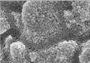 18 Nanomerler; 25-75 nm boyutlarındaki tek tek partikülleri ifade eder (Mitra ve ark. 2003)