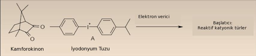 gösterir. Halka açılımlı polimerizasyonun başlaması için katyonik reaktif türlere ihtiyaç vardır. Bu da kamferokinon, iyodonyum tuzu ve elektron vericisi ile sağlanır (Şekil 1.