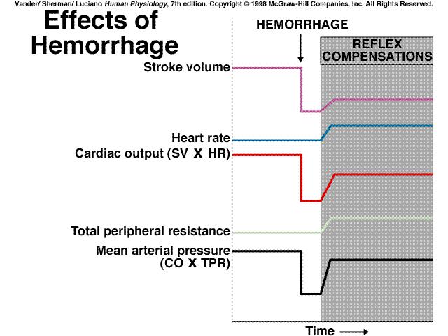 Kan basıncı 60 mmhg nın altına düştüğünde uyarılırlar. En fazla kan basıncı 15-20 mmhg ya düştüğünde uyarılır.