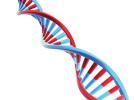 Mehmet DNA molekülünde dört çeþit nükleotit bulunur. DNA ile ilgili yukarıdaki öğrencilerden hangilerinin ifadeleri doğrudur? 2.