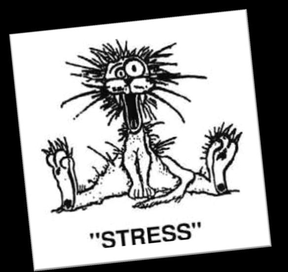 Stres Mülakatı Adayların stresli ortamlarda
