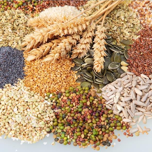 Düşük kaliteli protein kaynağı olan tahıllar karbonhidrat bakımından zengindir. Tahıllardaki karbonhidratlar çoğunlukla nişasta şeklindedir. İçeriğinde protein, yağ, mineraller de bulunur.