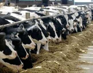İyi tarım uygulamaları kodunun genel kuralları İYİ TARIM UYGULAMALARI KODU TEBLİĞİ MADDE 5 (3) Nitrata hassas bölgelerde, yılda 1600 kg ve üzeri azot üreten hayvancılık işletmeleri ile yeter gelirli