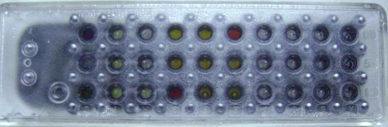 94 A Resim 3.6. BBL Crystal Identification System Gram-Positive ID Kit panelin görünümü (A) Panel viewer görünümü, (B) normal ışık görünümü B 3.13.