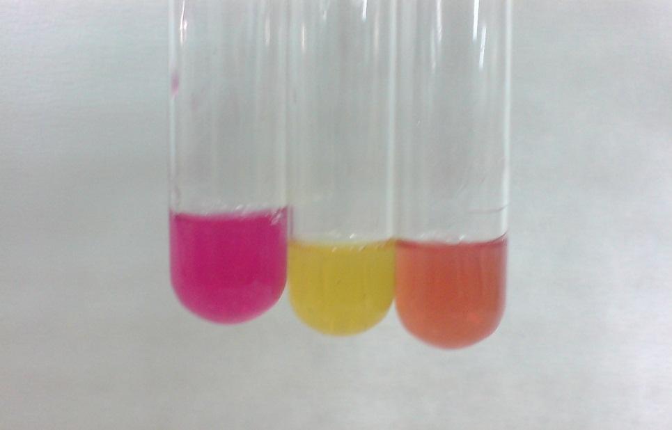 107 Urea Agar Base (Christensen) (Oxoid CM0053) Bileşimi g/l Peptone 1,0 Glucose 1,0 Sodium chloride 5,0 Disodium phosphate 1,2 Potassium dihydrogen phosphate 0,8 Phenol red 0,012 Agar 15,0