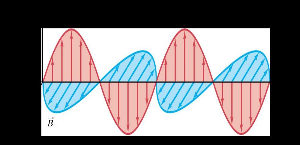 elektrik ve manyetik alanlar birbirlerine dik olarak titreşerek bu titreşimlerin oluşturduğu düzleme dik yönde ilerlerler (Şekil 2.2).