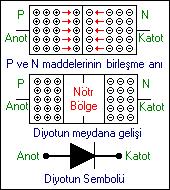 57 Diyotlar Diyotlar tek yönde akım ileten yarıiletken devre elemanıdır. Diyotun P kutbuna "Anot", N kutbuna da "Katot" adı verilir.