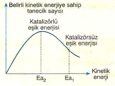 Her kimyasal tepkimenin kendine özgü bir katalizörü vardır.