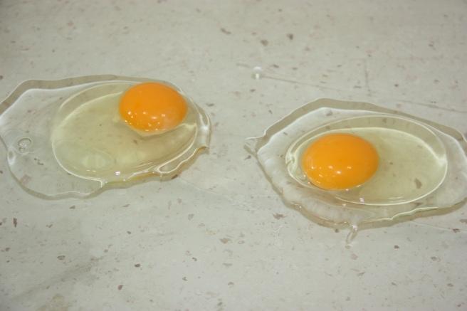 28 Yumurta ak uzunluğu ve genişliği kumpasla, ak yüksekliği ise üç ayaklı mikrometre (1/100 mm duyarlı) ile ölçülerek, aşağıdaki formül yardımıyla