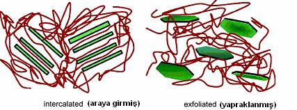 Şekil 4. 1: Polimer/Kil nanokompozit yapısının şematik görünümü [23] Kilin polimer matrisinde yaprak yaprak dağıldığı exfoliated yapılarda kil yoğunluğu intercalated tipi yapılara nazaran daha azdır.