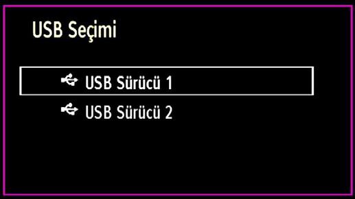 Böyle bir durumda ekranda Enter PIN (PIN Giriniz) ibaresi görüntülenir Ortam Tarayıcı Kullanarak Medya Oynatıcı Eğer USB bellek kapatma/açma veya İlk Kurulum sonrası algılanmazsa USB belleği