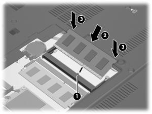 c. Bellek modülünün sol ve sağ kenarlarına basınç uygulayarak, bellek modülünü (3) klipsler yerine oturana kadar hafifçe