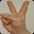 3.1.1. Aile YENGE Sağ el işaret parmağı ve orta parmak açık, el