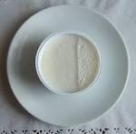 Temiz ve Pirkul (1991), tarhana üretiminde kullanılan yoğurt tipi ve miktarının değiştirilmesi ile bileşimde ekmek mayasına (Saccharomyces cerevisiae) yer verilmesinin,