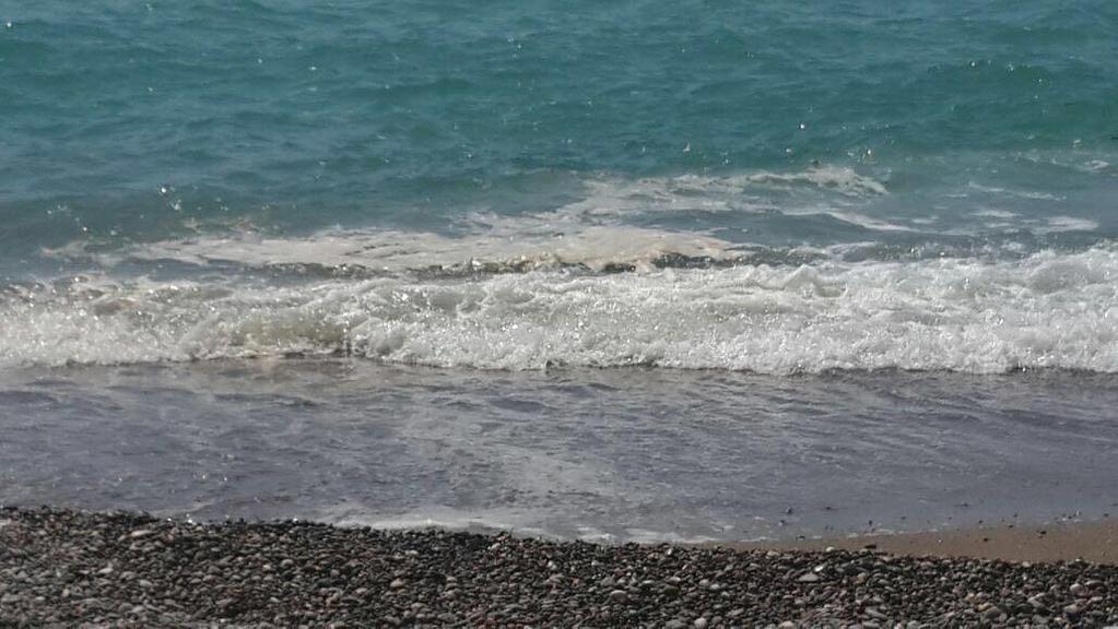 Mavi Bayraklı plajlarda görülen deniz kirlilikleri, şikayetler ve yönetimi