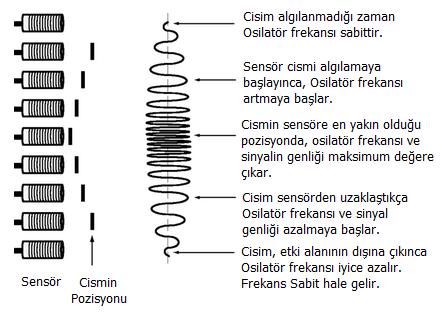 cismin pozisyonları görülmektedir.