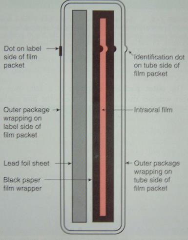 İntraoral periapikal filmde sağ-sol ayırımı yapabilmek için, filmin bir köşesinde kabarık nokta bulunur.