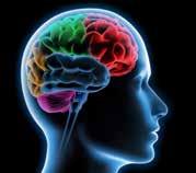 Epilepsi nöbeti Sınıflandırma Epilepsi nöbeti esnasında beyin kısa bir süreliğine düzgün çalışmaz ve çeşitli beyin fonksiyonları bozulur.