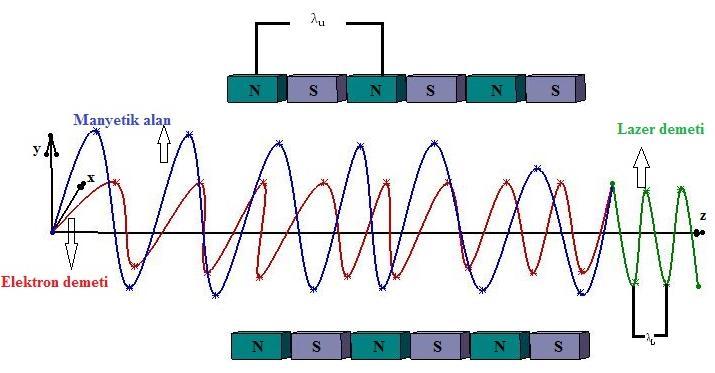 Maxwell denklemleri sistemidir (Dattoli 1993). Çalışma kapsamında ikinci yöntemden yola çıkarak serbest elektron lazeri fiziği incelenecektir. 2.4.