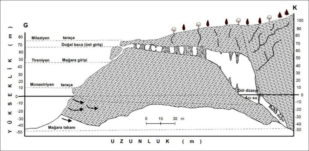 Bu kalınlığının 47 m lik kısmı ise deniz seviyesi altındadır (Nazik vd., 2001). Şekil 5. Gilindire (Aynalıgöl) Mağarası nın jeolojik kesiti (Nazik vd.