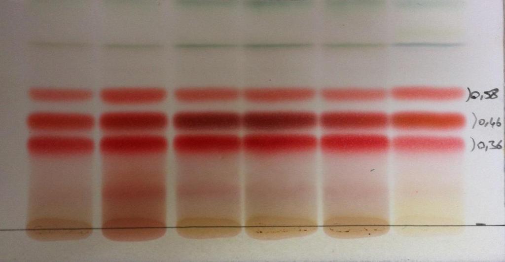Hesaplanan Rf değerleri aşağıdan yukarıya; 0,61; 0,68; 0,74 dir. Rf değerlerine göre en alttaki leke EGCG a ait olduğu tespit edildi.