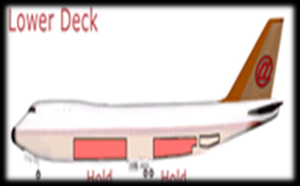 UÇAĞIN GÖVDESİ Alt kat; kabinin altındadır. Alt kat, uçak tipine göre iki sınıfa ayrılır. Bunlar, yığma yükleme ve ULD yükleme yapılan ambarlardır ve birbirinden farklıdır.